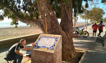 Una empresa especialitzada analitza l’estat de l’arbratge al passeig Marítim