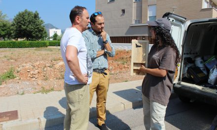 Nules albergarà la colònia artificial de Rates Penades més gran de les comarques de Castelló