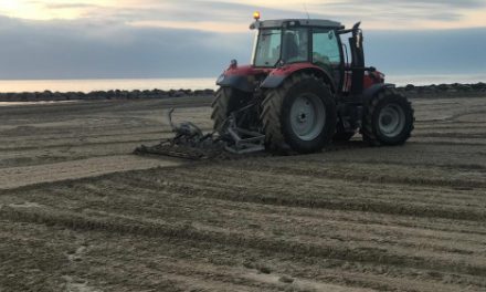 L’ajuntament mourà més de 200.000 m2 de superfície de platja per a airejar i millorar l’arena