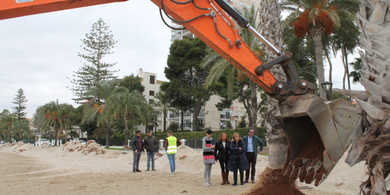 Benicàssim reutilitza la posidònia que va traure de la mar ‘Gloria’