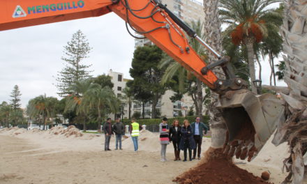 Benicàssim reutilitza la posidònia que va traure de la mar ‘Gloria’