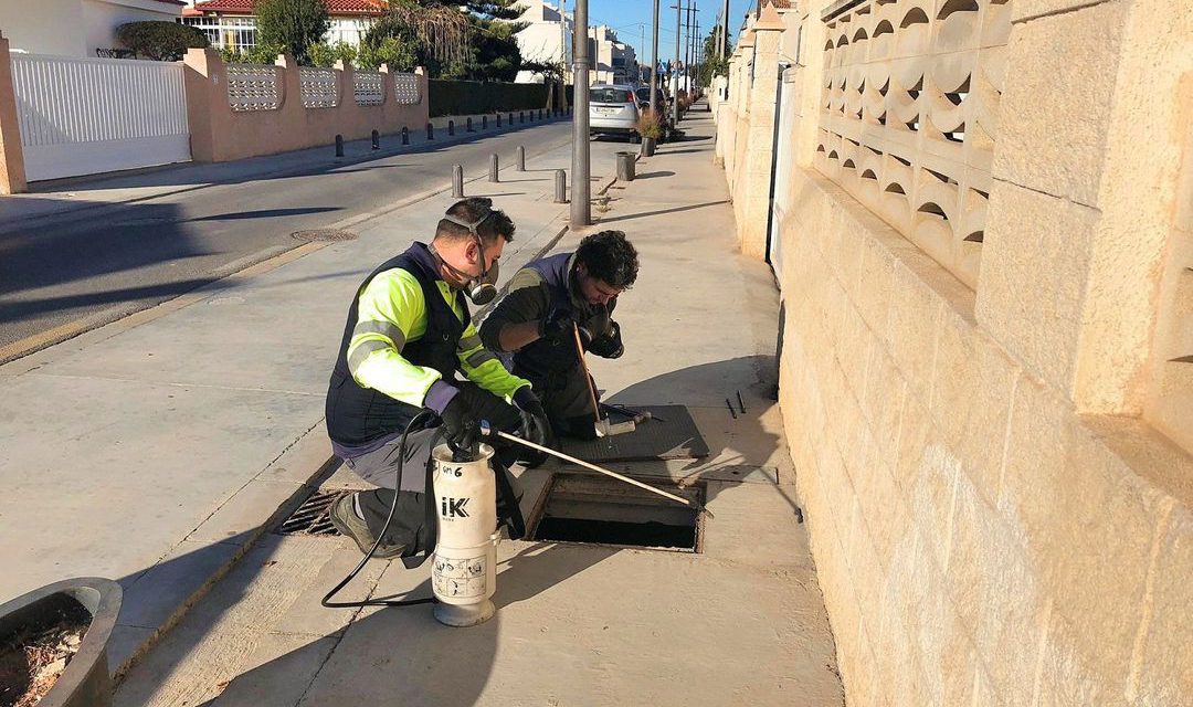 Almassora avança un mes la fumigació de larves de mosquits davant la calor i les pluges