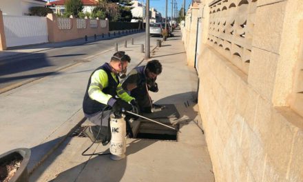 Almassora avança un mes la fumigació de larves de mosquits davant la calor i les pluges