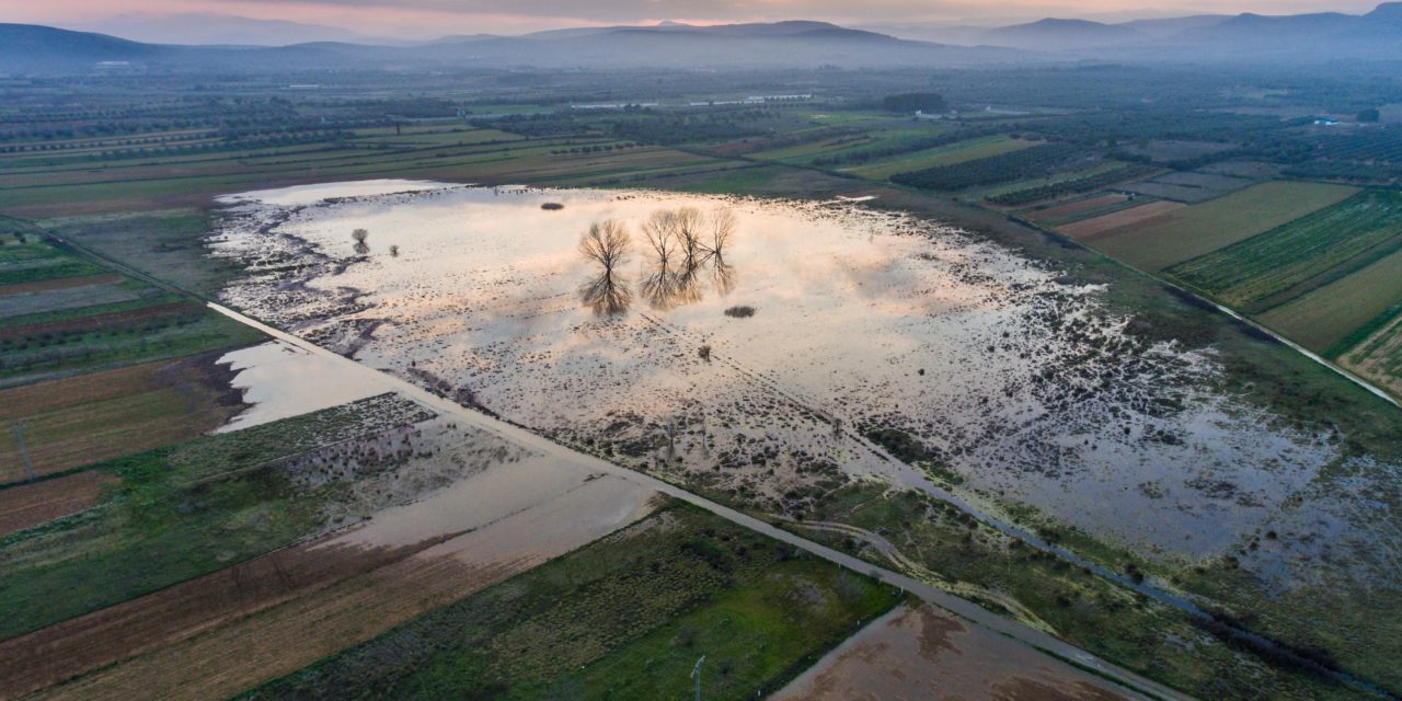 La Conselleria d’Agricultura, Emergència Climàtica i Transició Ecològica cataloga set noves zones humides