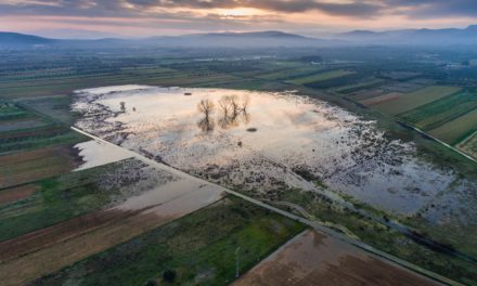 La Conselleria d’Agricultura, Emergència Climàtica i Transició Ecològica cataloga set noves zones humides