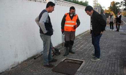 Castelló valora en 200.000 euros l’ampliació dels tractaments antimosquits