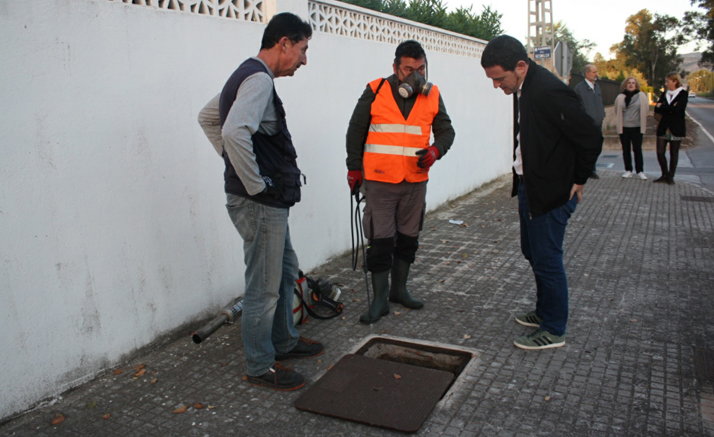 Castelló valora en 200.000 euros l’ampliació dels tractaments antimosquits