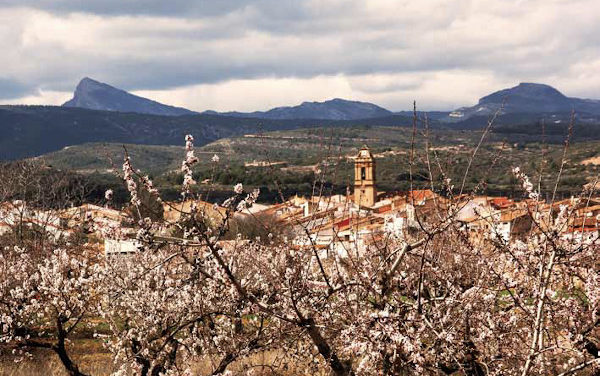 El grup IMK Innovación en Marketing de l’UJI organitza la I Cimera Econòmica de Penyagolosa