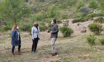 Benicàssim actua a les urbanitzacions de muntanya per a la prevenció d’incendis forestals