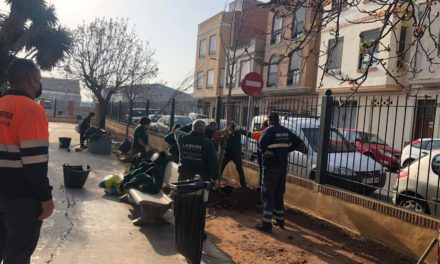 Nules vol recuperar la imatge paisatgística original del Jardí Botànic Francisco Beltrán Bigorra