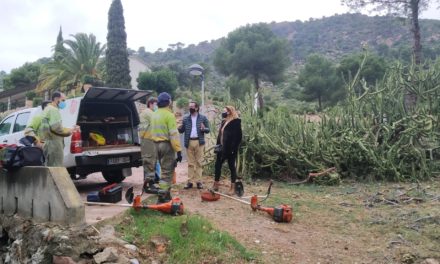 Benicàssim continua amb les labors de prevenció d’incendis forestals en urbanitzacions de muntanya