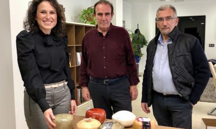 Quesos de Almassora s’alça amb l’or en els World Cheese Awards