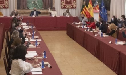 El ple de la Diputació de Castelló insta el Govern d’Espanya a suspendre la tramitació de la planta fotovoltaica ‘Magda’ prevista a la província