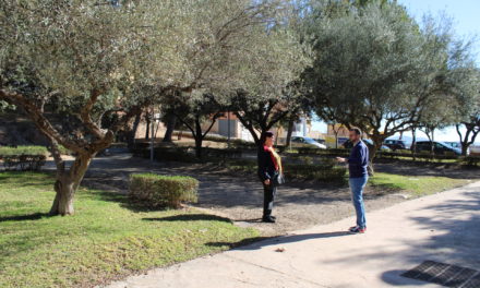 L’Ajuntament de l´Alcora escometrà un projecte de millora al parc Montlleó