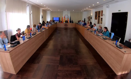 El Ple de l Ajuntament de Vila-real aprova per unanimitat la concessió dels Premis 20 de Febrer extraordinaris als ‘herois’ de la lluita contra la covid