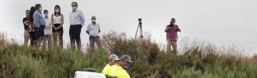 La Diputació de Castelló realitzarà vols de tractament aeri contra els mosquits