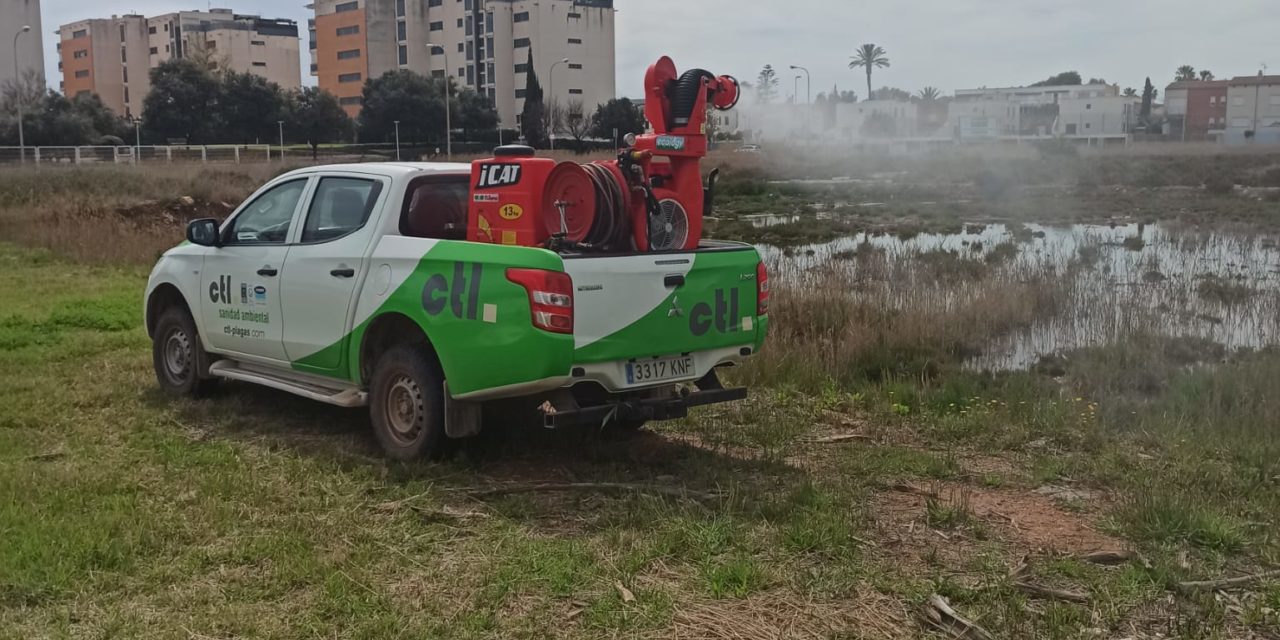 Benicàssim continua amb el calendari d’actuacions per a frenar la presència de mosquits