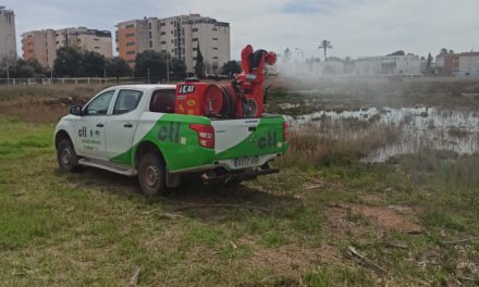 Benicàssim continua amb el calendari d’actuacions per a frenar la presència de mosquits