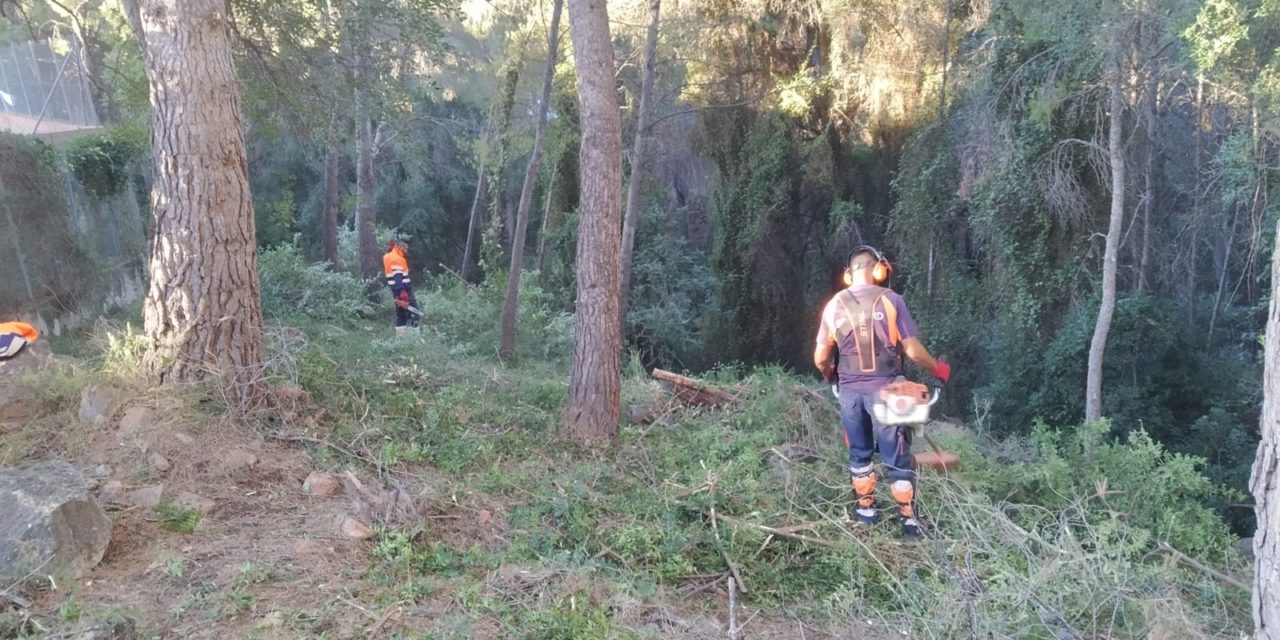 Benicàssim continua amb les labors de desbrossaments al Barranc de Farja al seu pas pel tram urbà