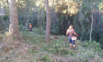 Benicàssim continua amb les labors de desbrossaments al Barranc de Farja al seu pas pel tram urbà