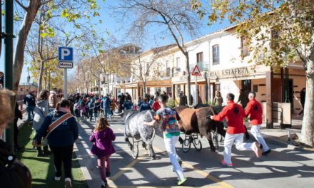 La cultura i els actes taurins copen el penúltim dia de festes