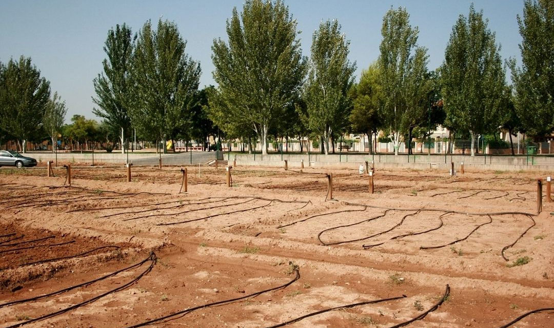 Almassora obrirà en 15 dies les sol·licituds d’horts urbans