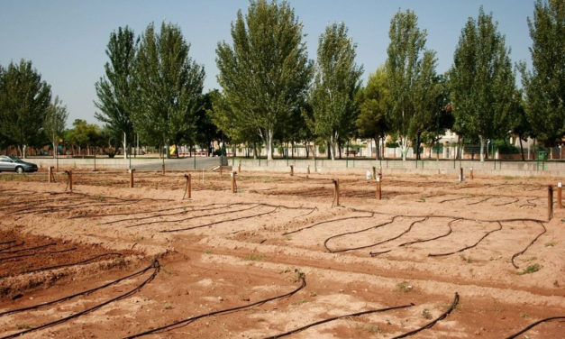 Almassora obrirà en 15 dies les sol·licituds d’horts urbans