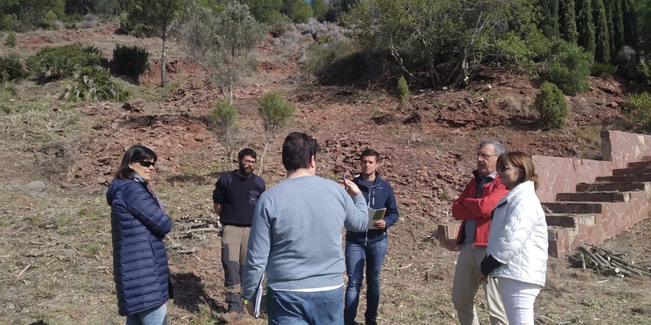 Benicàssim reforça les actuacions en la interfície urbana-forestal de les urbanitzacions de Montornés, La Parreta i Las Palmas