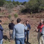 Benicàssim reforça les actuacions en la interfície urbana-forestal de les urbanitzacions de Montornés, La Parreta i Las Palmas