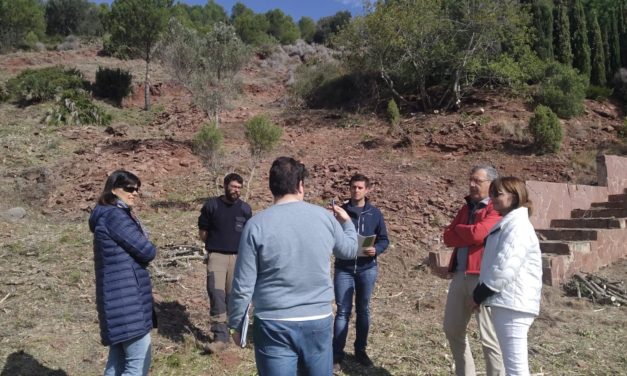 Benicàssim reforça les actuacions en la interfície urbana-forestal de les urbanitzacions de Montornés, La Parreta i Las Palmas