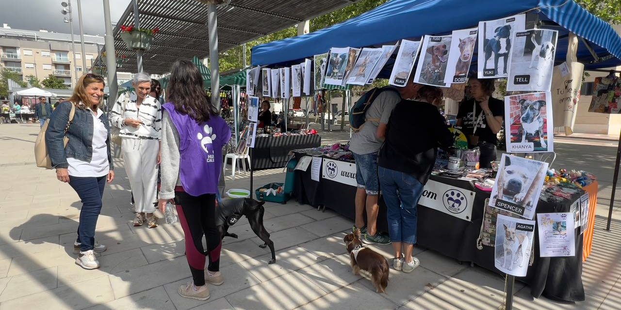 l Festival de l’Adopció torna dissabte que ve amb l’objectiu de conscienciar sobre la importància de “adoptar en lloc de comprar”