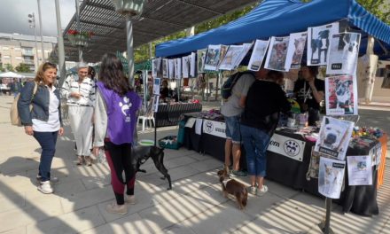 l Festival de l’Adopció torna dissabte que ve amb l’objectiu de conscienciar sobre la importància de “adoptar en lloc de comprar”