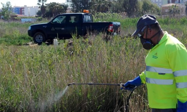 La Direcció General de Salut Pública autoritza la renovació del pla  sol·licitada per l’ajuntament de Nules