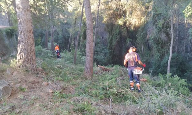 Benicàssim continua amb les labors de desbrossaments al Barranc de Farja al seu pas pel tram urbà