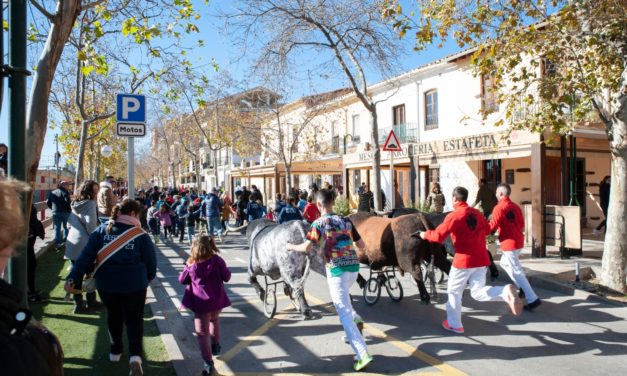 La cultura i els actes taurins copen el penúltim dia de festes