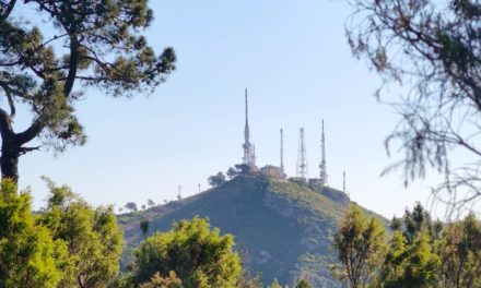 Benicàssim compta amb 10 senders per a poder gaudir de la biodiversitat del terme municipal i les seues privilegiades vistes