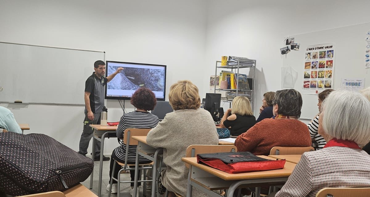 Benicàssim impartix formació per a la lluita contra el mosquit tigre en els centres escolars i formatius de la localitat