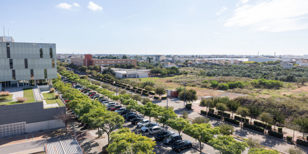 La Universitat Jaume I projecta un edifici al campus d’allotjaments de lloguer assequible per al col·lectiu universitari