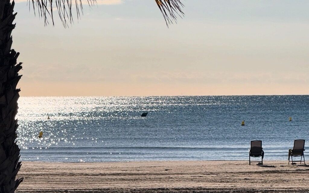 Benicàssim renova un any més les certificacions de qualitat de les seues platges i serveis