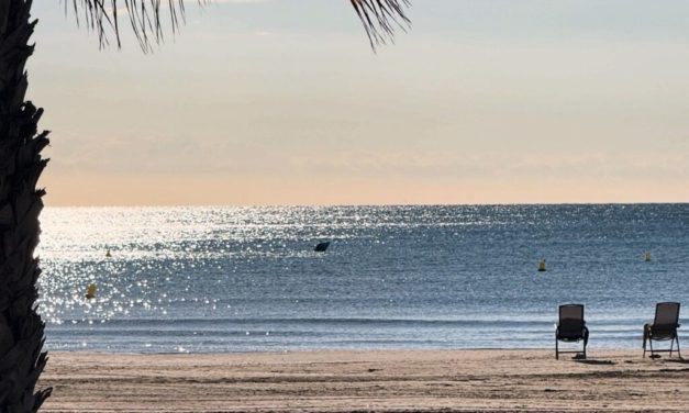 Benicàssim renova un any més les certificacions de qualitat de les seues platges i serveis