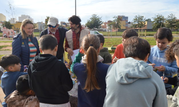 600 escolars planten arbres a la CEM per a fer créixer el pulmó verd de Vila-real