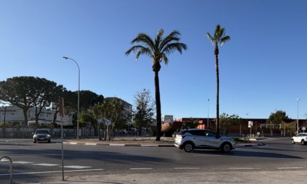 Benicàssim trau a licitació la millora de la xarxa de pluvials de l’entorn del CEIP Palmerar per a minimitzar el seu risc d’inundació
