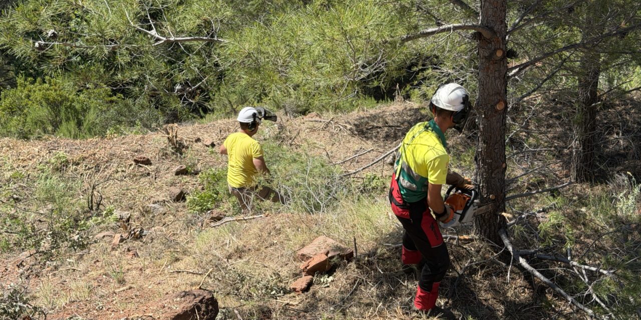 Benicàssim intensifica les actuacions preventives contra els incendis a les urbanitzacions de muntanya