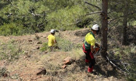 Benicàssim intensifica les actuacions preventives contra els incendis a les urbanitzacions de muntanya