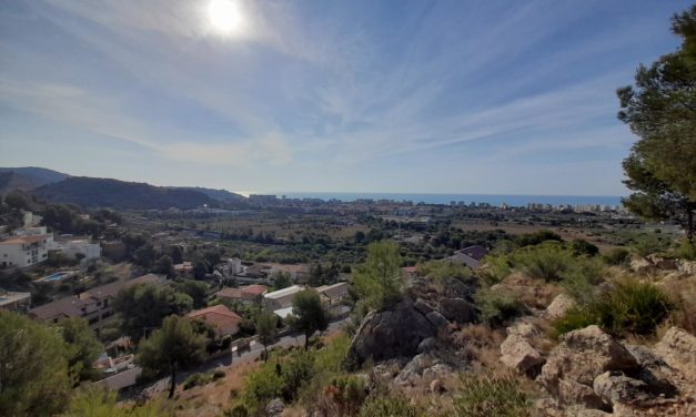 Benicàssim estrena el nou Circuit Permanent d’Orientació «Barranc de les Agulles i Lloma del Moltó»