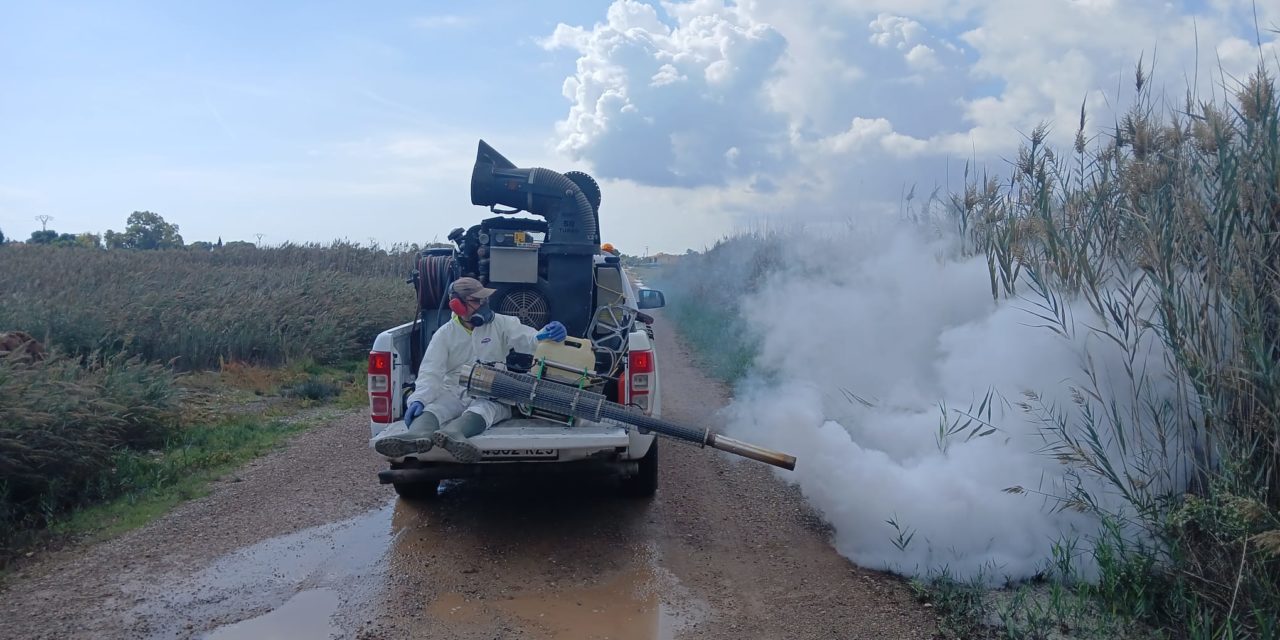 Benicàssim intensifica el control de mosquits després de l’episodi de pluges